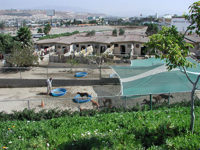 PA060006