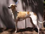 P4181056_Goodrich