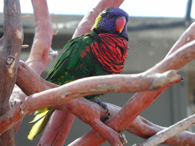 P1010106