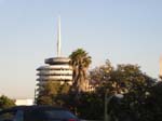 C1010146